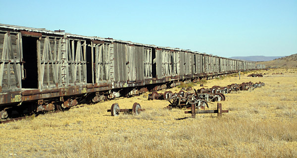 cmEmpalme448wagons2011