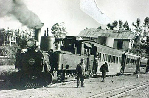 ColbuntrainatPanimavida